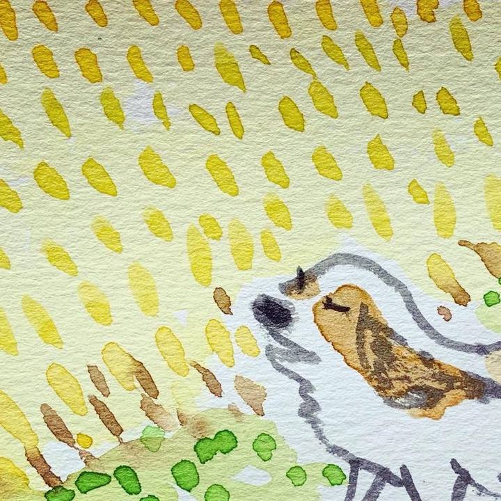 0421da94 caa0 49e1 8e39 2cccea647974 1631745850328