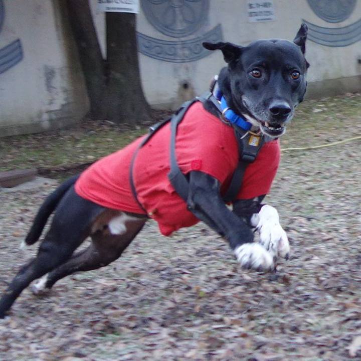 0421e58c c9ce 45b1 b29c f6302a233bba 1642382288606