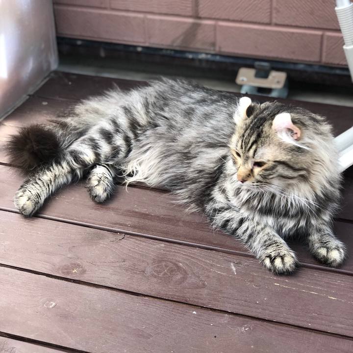 0421e871 6e3c 4a20 a334 c7392f9981ae 1526366849661