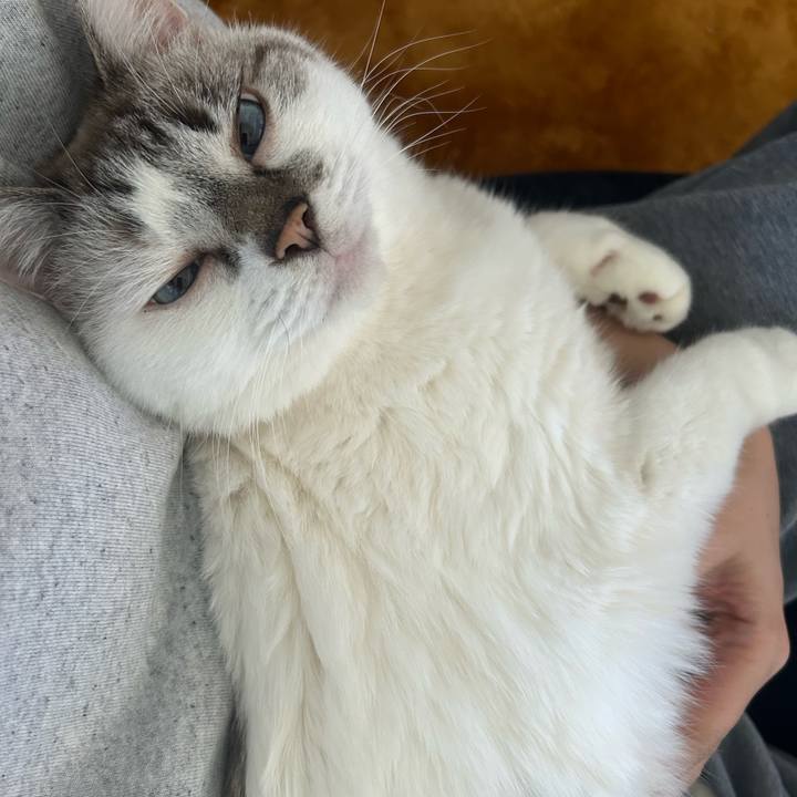 0421fa17 5ce8 4d72 ac8f 3257276a712c 1768610505514