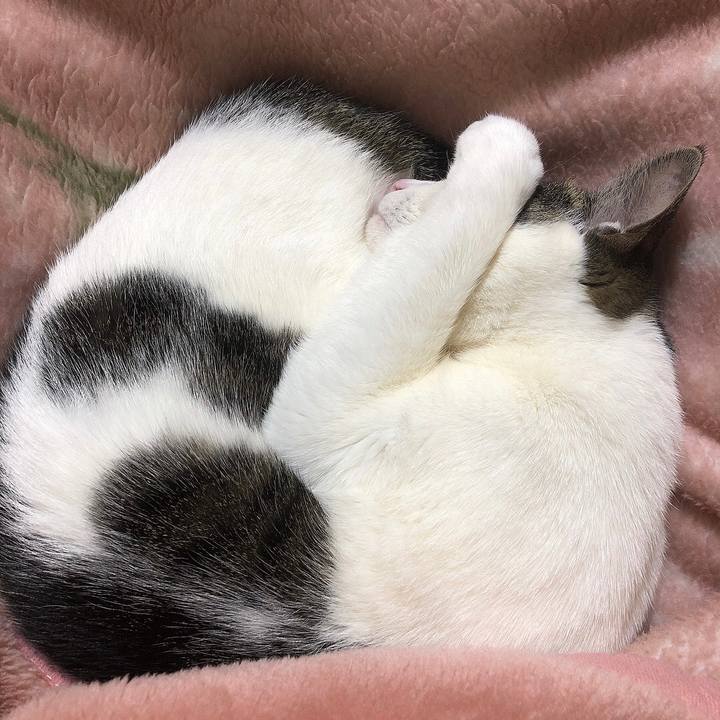 042205af f91a 4c74 8e68 e8aa339b86ca 1645879188555