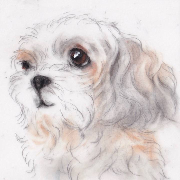 042218b2 0158 4330 b13a c801856a3293 1669380101266