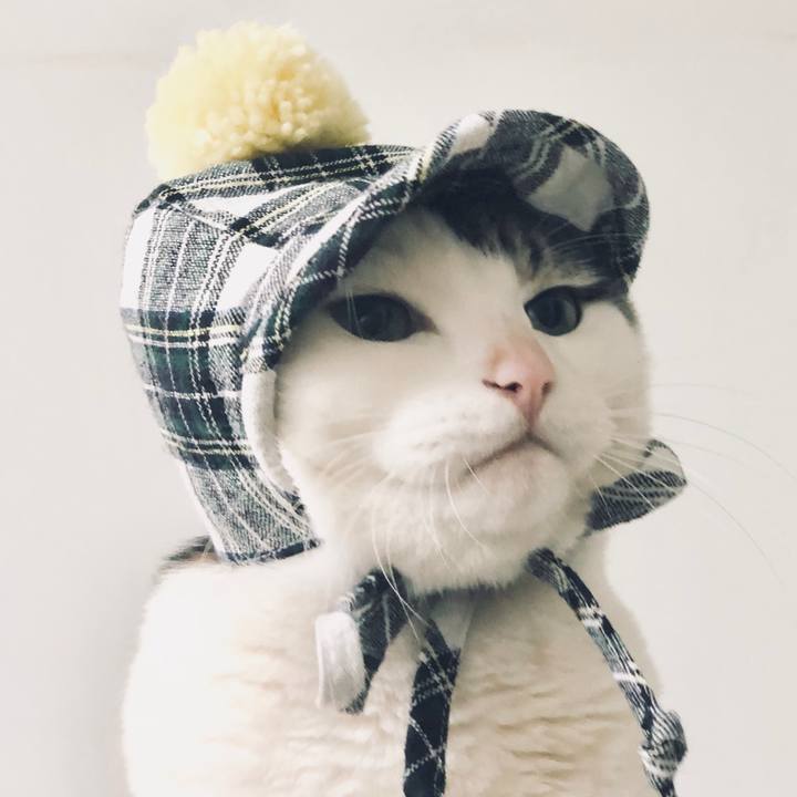 04223d68 44e0 4fb6 b4f2 6316b50ba29e 1550808338944