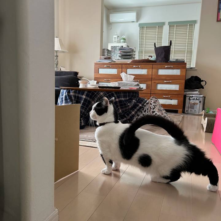 04224d53 eb75 47d0 a1d3 ff905e6758e3 1773533885498