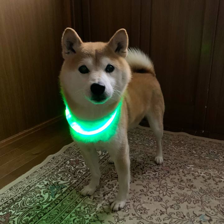 04225dd6 de1b 4e2a b26c 0a6703edf574 1674211759437