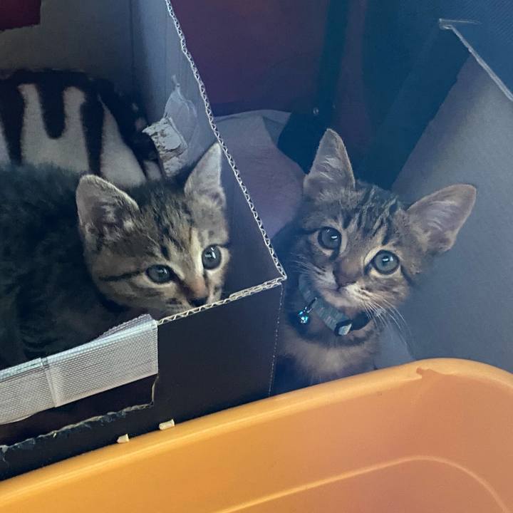 04226725 6797 4d47 8ab9 7696e5b59ea0 1638075629421