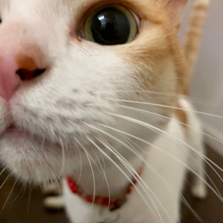 04227706 acd0 42f4 ad1e 84162bf06545 1569166915548