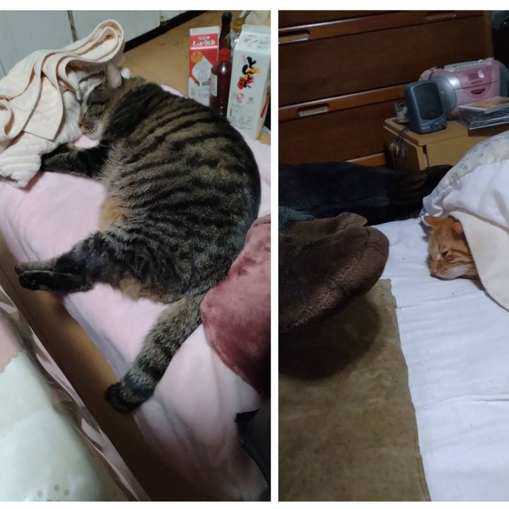 04227acf 7eb9 4897 980b a19f23f467e0 1701330182429