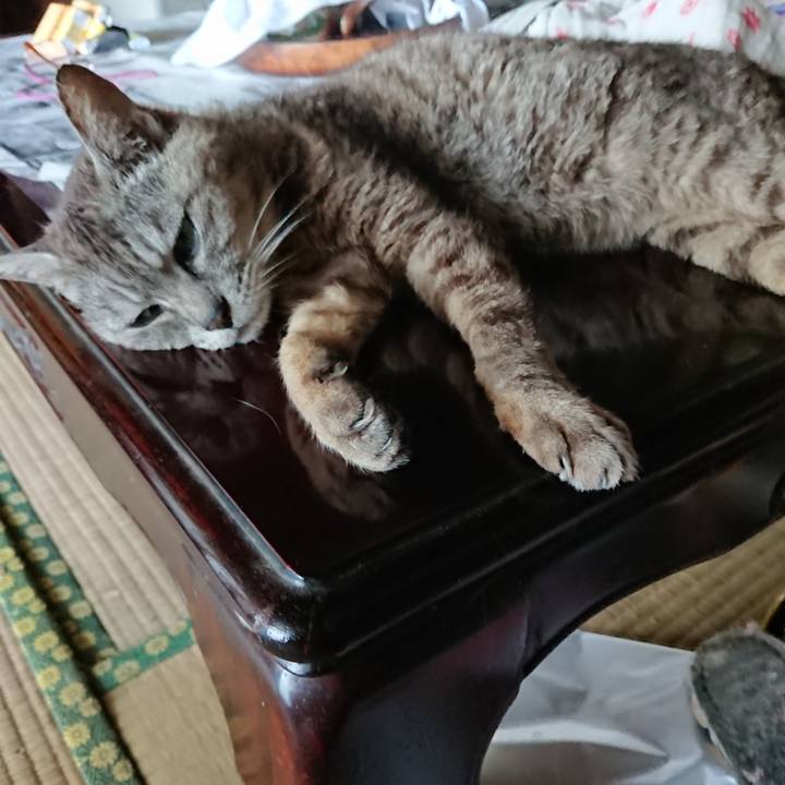 04227f27 0cf2 4dff be86 5ae955342f61 1564814579427