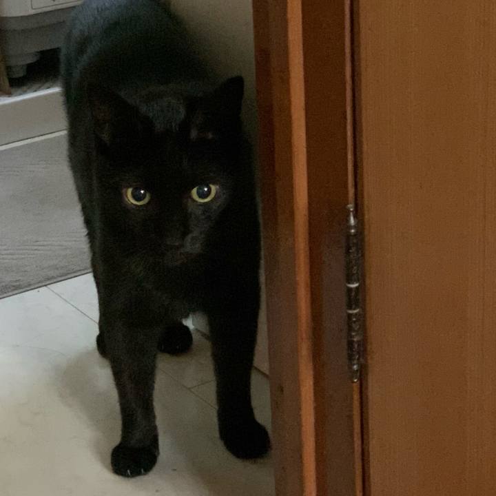 042289db e26f 4d47 87a2 0e973f46186c 1600822902301