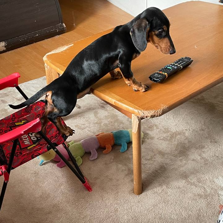 042299c5 884a 41c5 ae2b 4af9bf05b99f 1640049230527