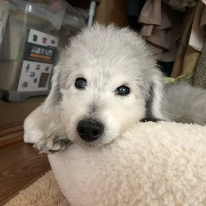 0422d130 7870 4bf8 9f60 5a7fb195e8a2 1719793023555