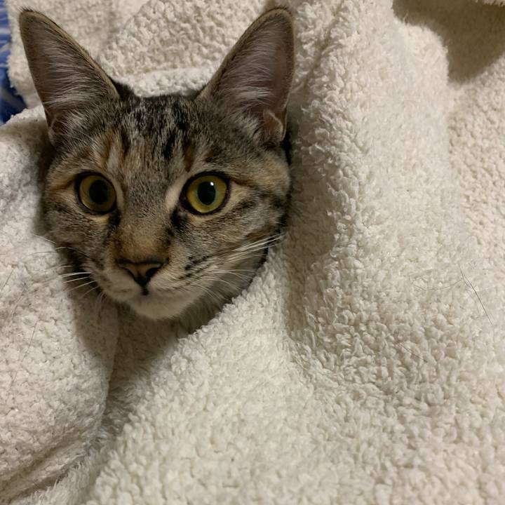 0422d846 14c8 4a74 ac04 4374192b2593 1602411719100