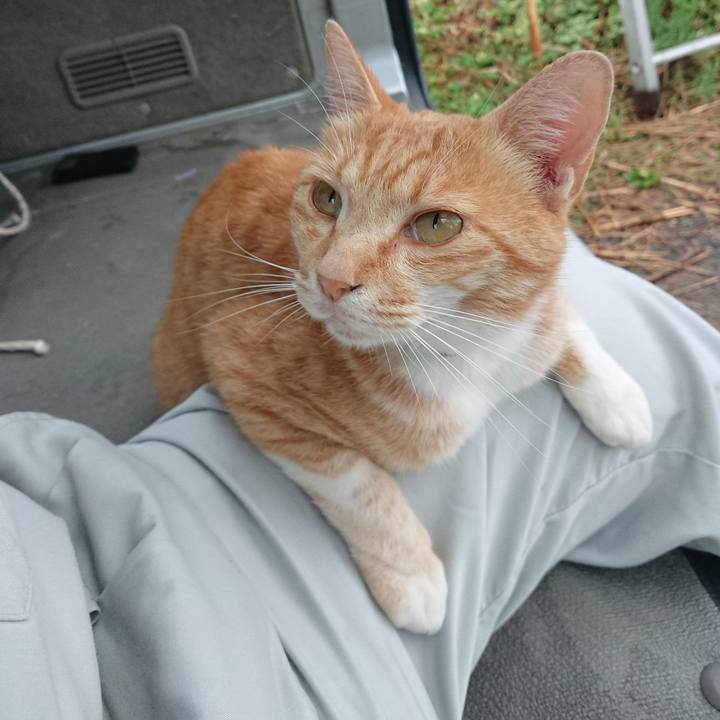 0422eb94 4045 45f1 adeb 0e5d80f56476 1594024746381