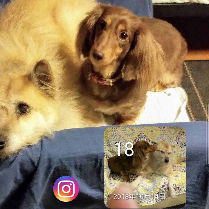 042313b1 6cde 4f70 96cc dfa67dee55f2 1634527071460