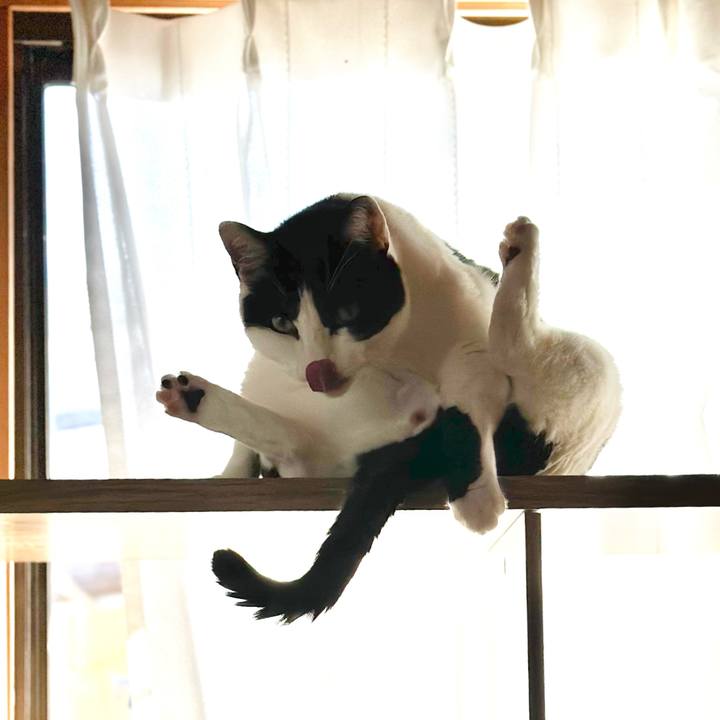 04232298 84f2 4d58 a5fc fa93f5a10b6f 1707443717514