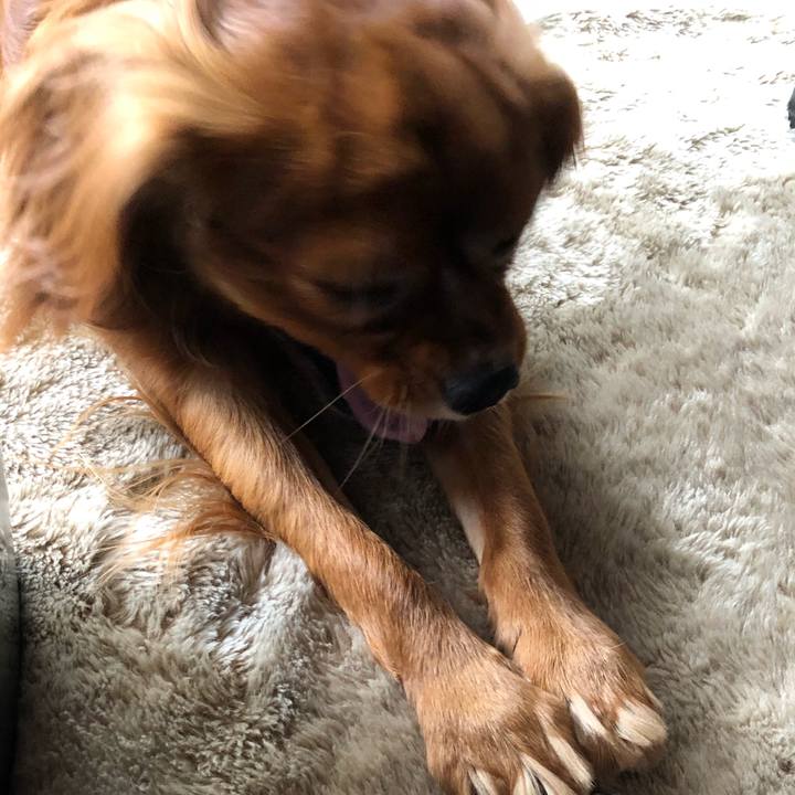 04232c54 465a 4a33 97f0 896cfabfb9c6 1525069400217