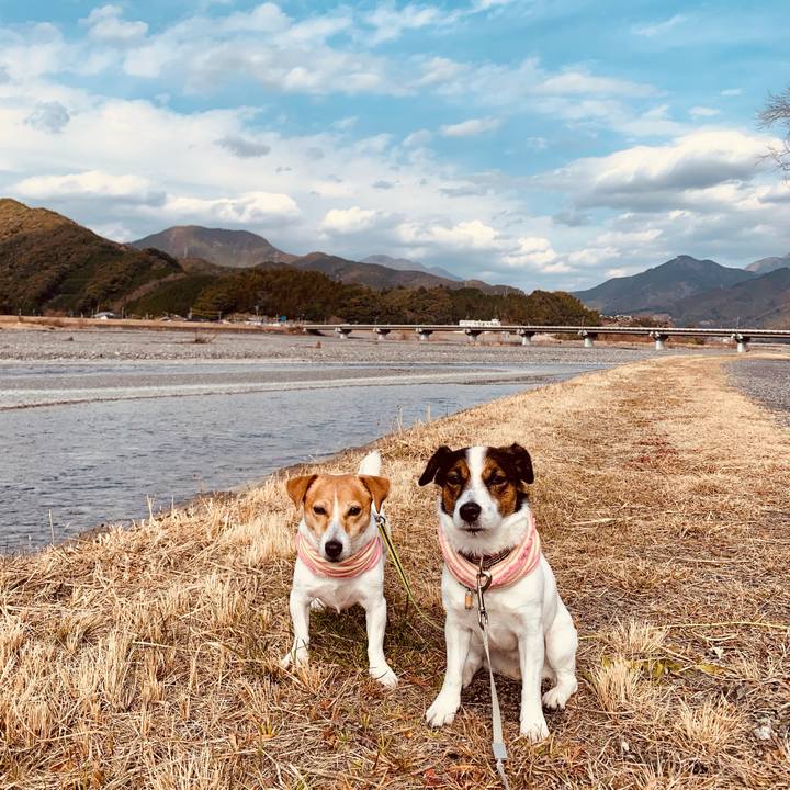 0423a141 87a8 454f 9024 5393950aba66 1610769688342