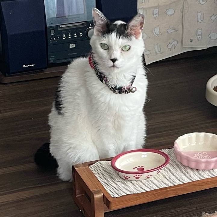 0423b118 9507 4f12 9b7c 31bc6e735f5f 1720409929295