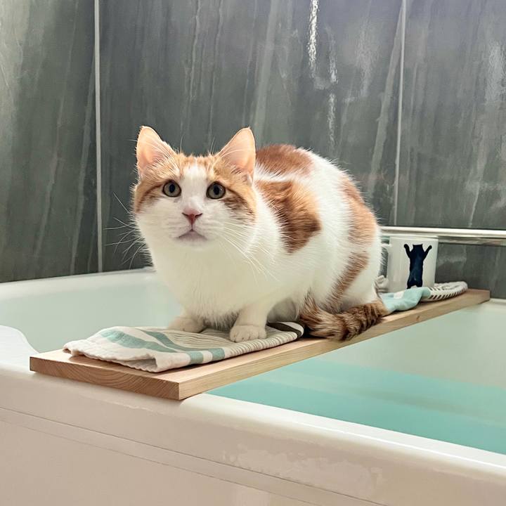 0423c581 0fd6 4706 9cee c8240b6bfceb 1769559708280