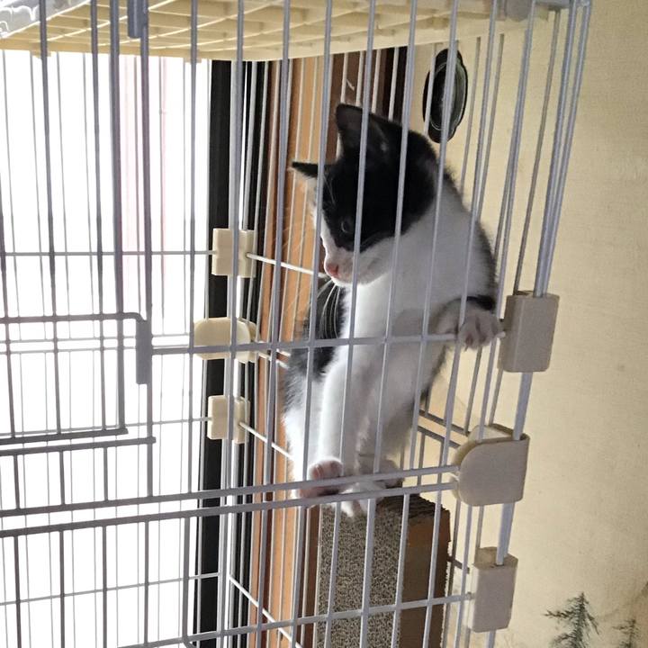 04240b77 89fc 40bf 9f5a 64f8cd6fac95 1623824641132