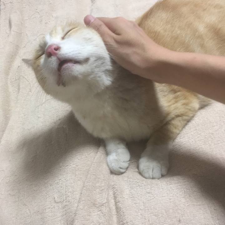 0424429d d398 4aba b3ce ce38ef899dee 1534946326043