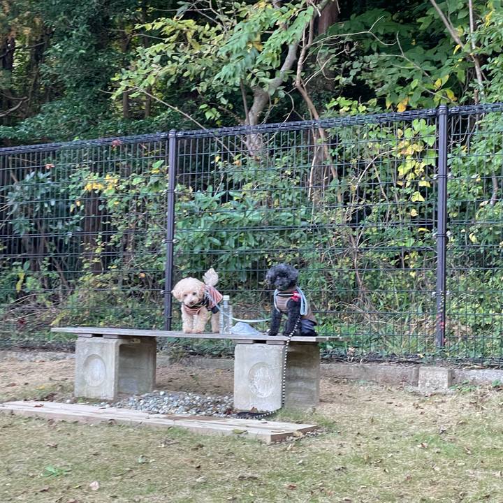 0424488b 7273 4fb1 8fcf 07ef14714cac 1667861692300