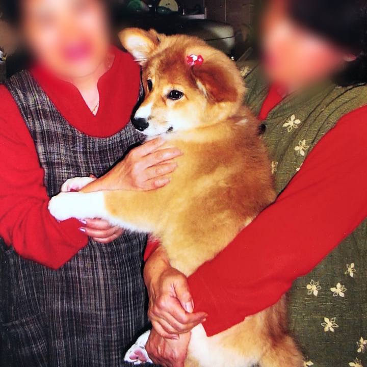 04246ddd 3caf 46e5 9ecd 5f7701213d91 1520300257450