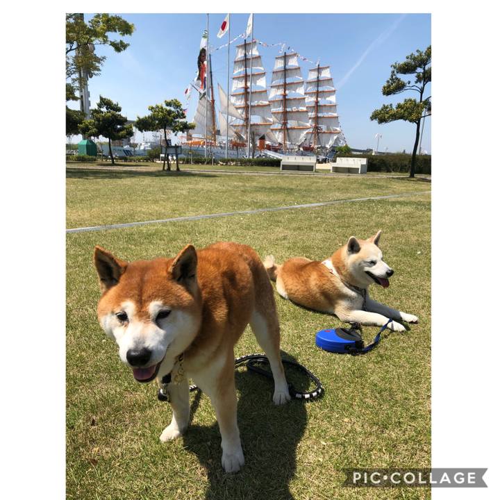 04247115 f184 43ef b1e3 9499ff288744 1557056507643