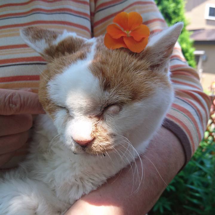 04247ea4 85aa 4d2e b51c 1591e3452abb 1633754920815