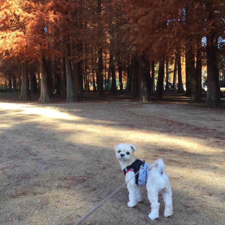 0424cb64 e7fa 4737 97e8 42b15d94a553 1512482032126