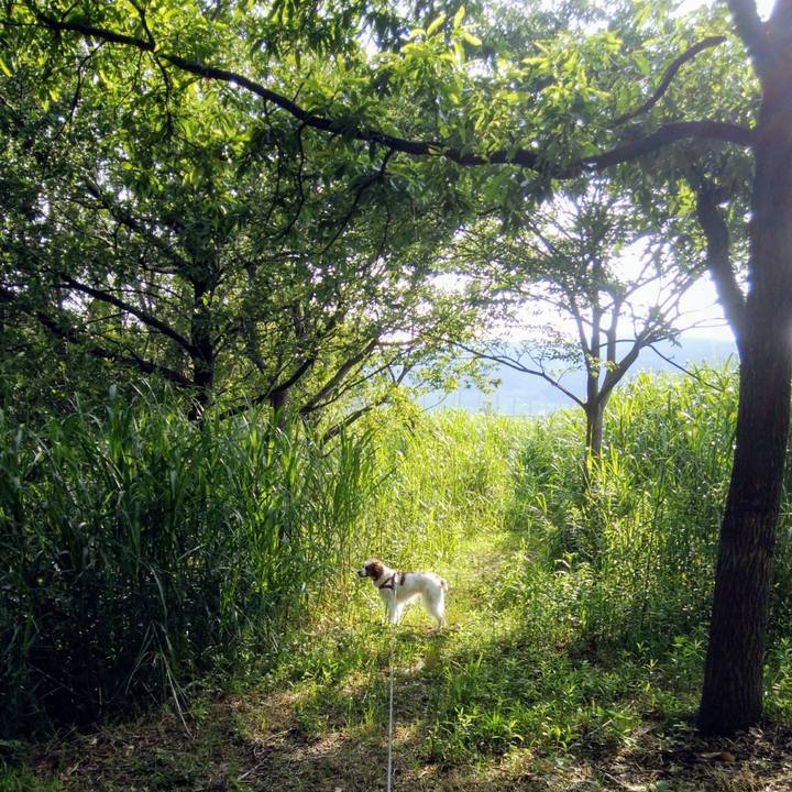 0424cc4b 67d3 4e85 9b50 967d6b97d6f2 1561418322009