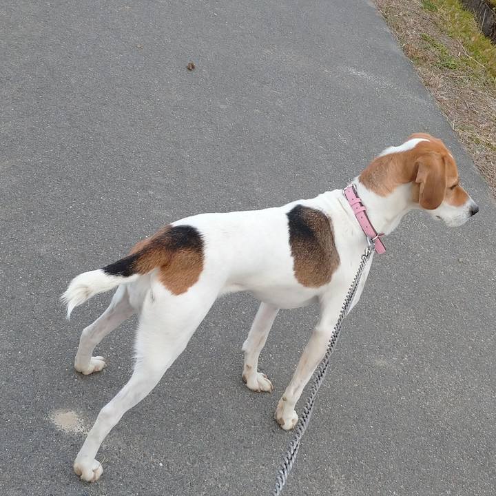 0424eda6 9a0e 42d9 951f 01f6dcace1c4 1575635814157