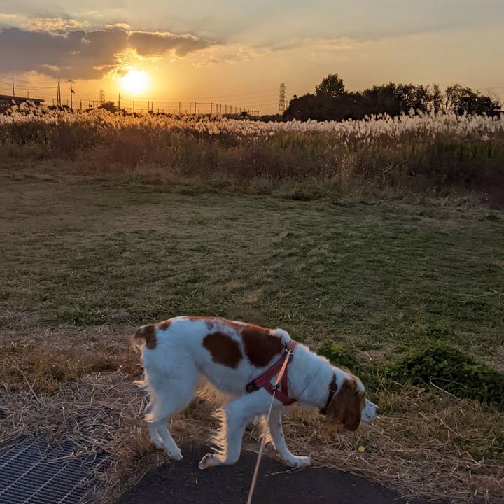 0424ffd2 094f 42f6 bb3e a81cc05e2007 1637396493578