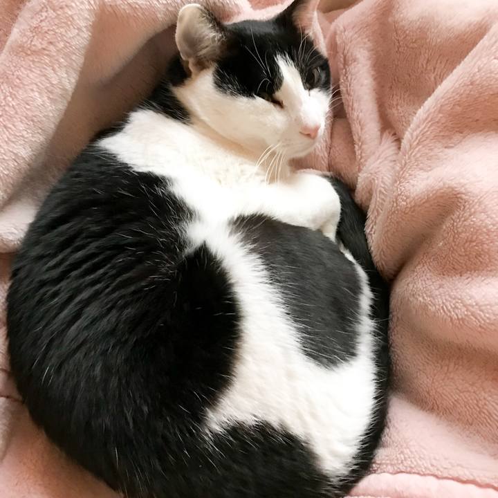 042516fb 1d71 4167 bc85 efd01c22cff8 1512312317973