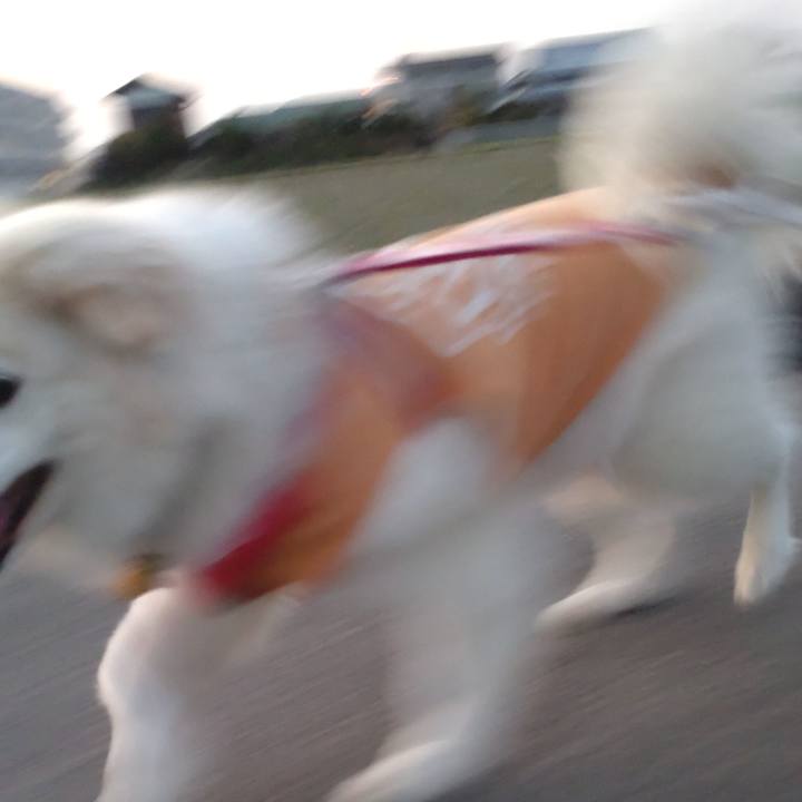 042535a5 d2f9 4d89 aab5 86b4b182d1e6 1649284905284