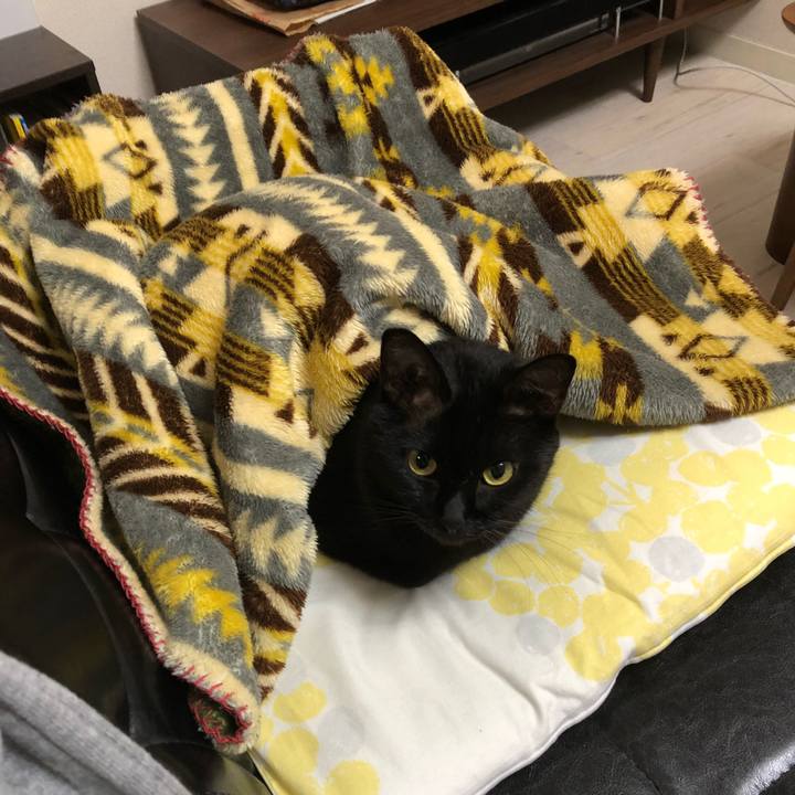 04255baf 1b36 49c8 a861 237bf5ec8028 1508569735733