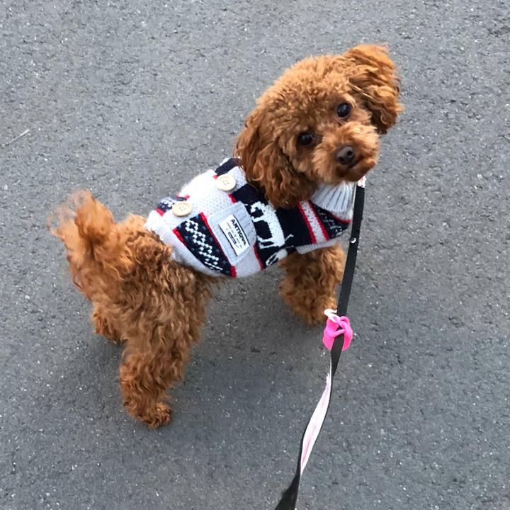 04258dfa 312a 45f9 9b73 dfdf3cee21e5 1517819124160