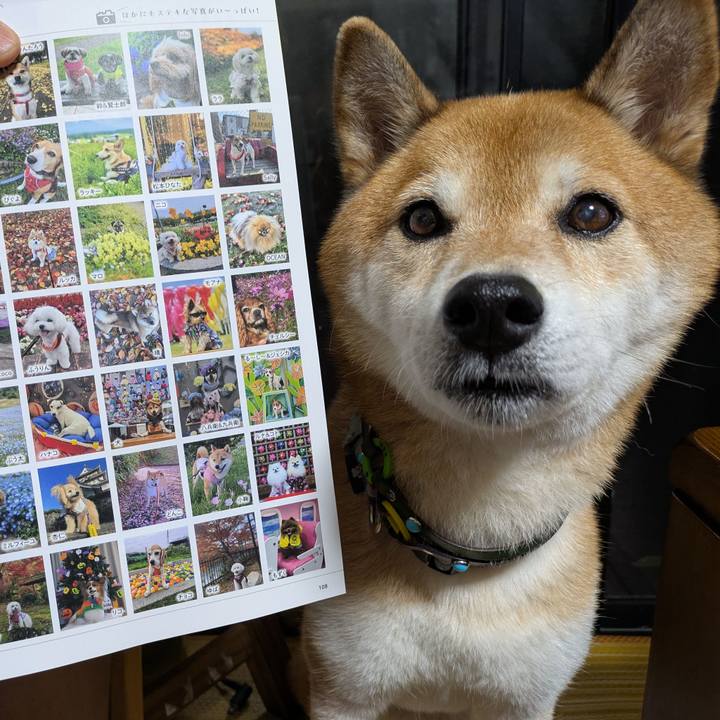 04258ec6 2fe0 490e bb91 baf411243325 1758599291293