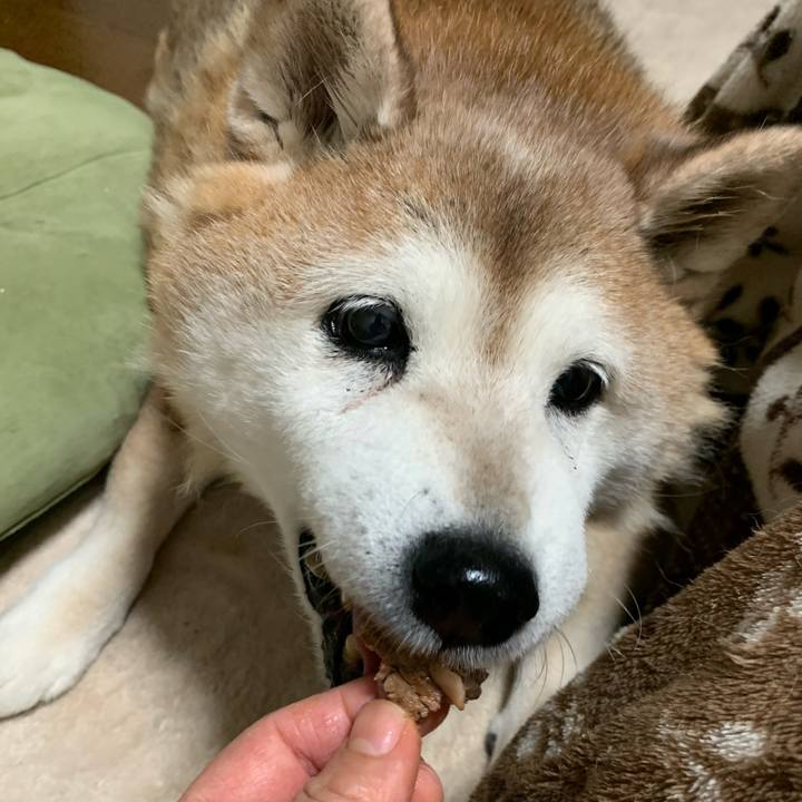 0425d934 1ccd 415a 8d15 894a4c934837 1615116225164