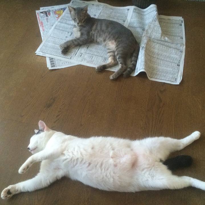 0425e06a 9b34 4da2 b2b0 3e9184fcd4d5 1533450861987