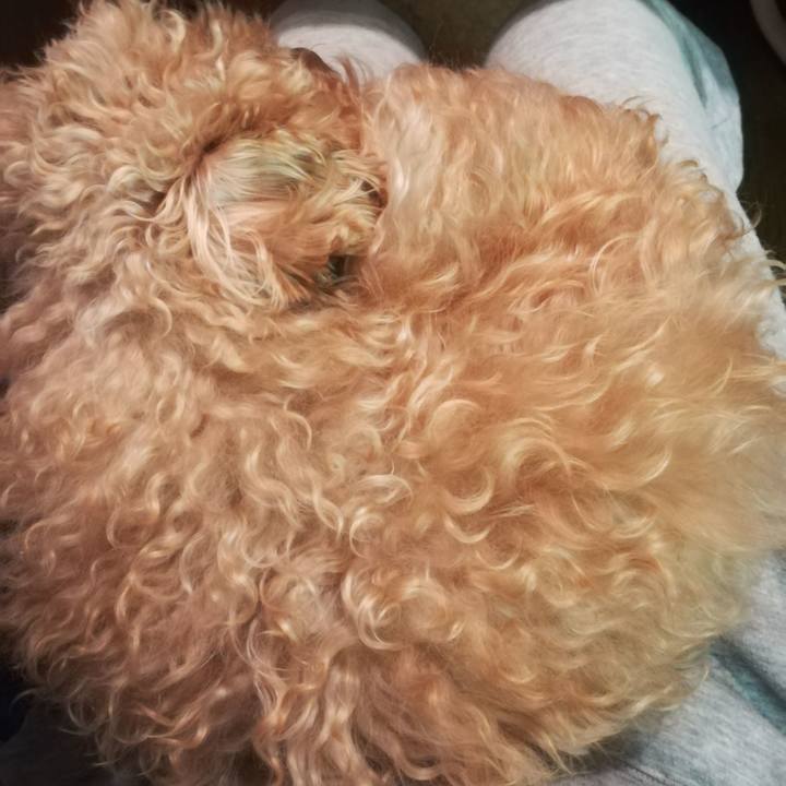 0425e3cf a781 4743 b7e4 4d88518c5647 1543279760526