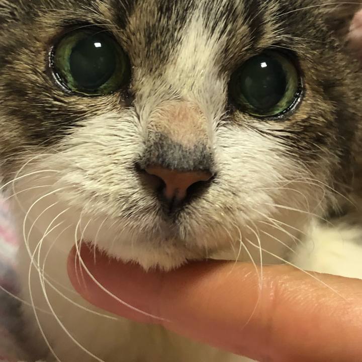 0425ff17 10db 4f6e a0b6 365156b0132e 1561793538591