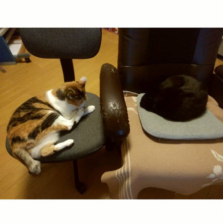 042619b1 f9f8 403d 816f 66f55b12a149 1601891102843