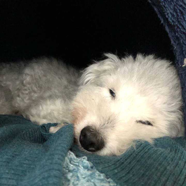 04262532 faec 4b3f 8ae0 8010916d5c68 1635725360008