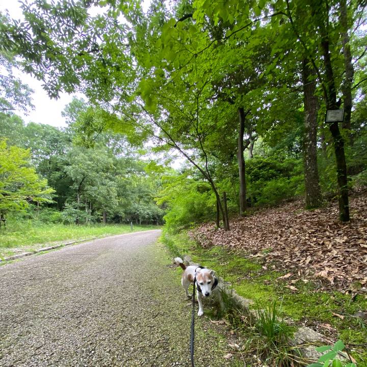 04262806 3055 4ce9 a345 ead8a1ca82c4 1622898676181