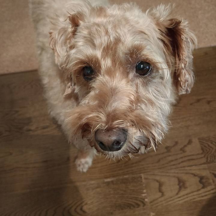 04263674 f980 4305 8c7f 833f94d5baa4 1599116618260