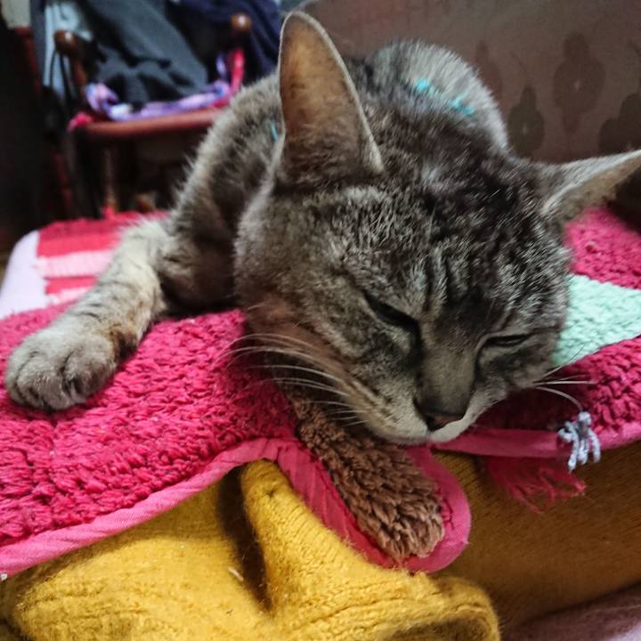 0426640b 37ff 4fce afc3 84f948a5f929 1553768086336