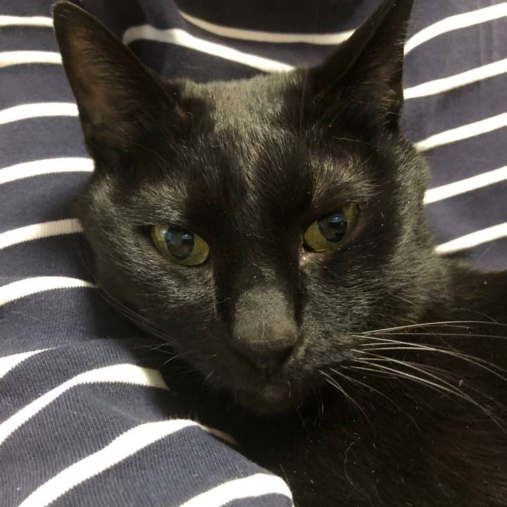 04266b66 3705 49ba 9a73 16218609f7ce 1713518972044