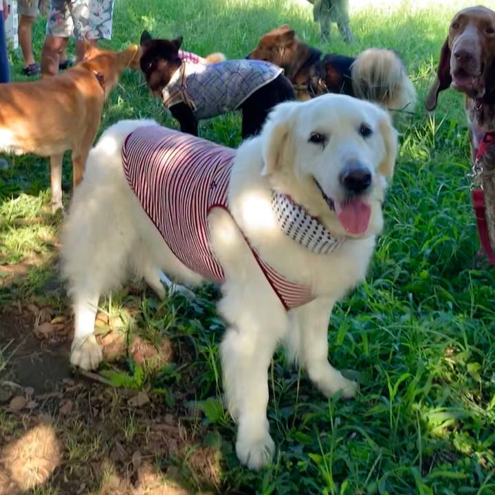 0426741c 20ed 4d0b 9ce9 0c30e67c9099 1567771150413